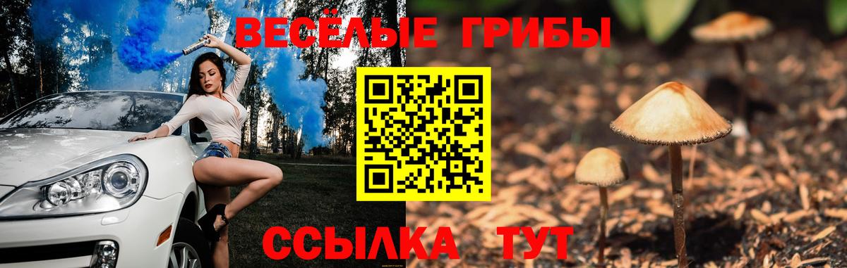 Псилоцибиновые грибы прущие грибы  Вход с VPN  Элиста 