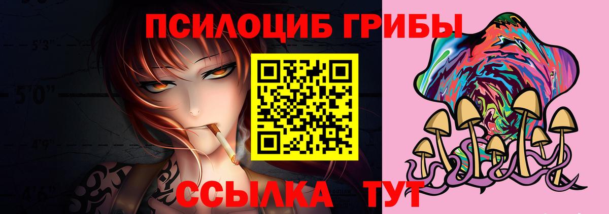 Галлюциногенные грибы прущие грибы Элиста